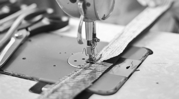 Transparency, Accountability, and Sustainability